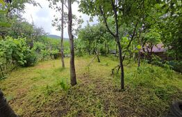 Casă de vânzare în Cugir – 2 construcții, ideală pentru familie sau investiție!