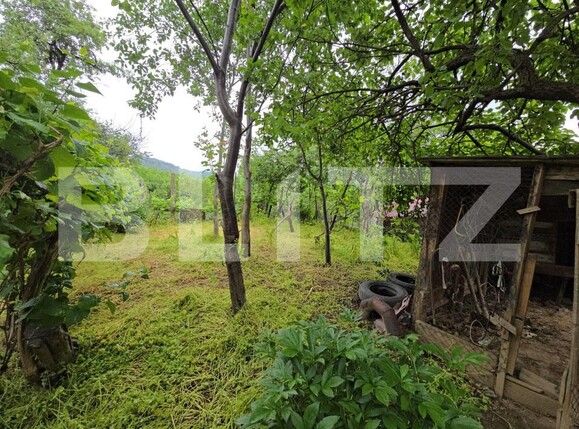 Casa de vânzare 3 camere Cugir - 170125CV | BLITZ Alba Iulia | Poza13