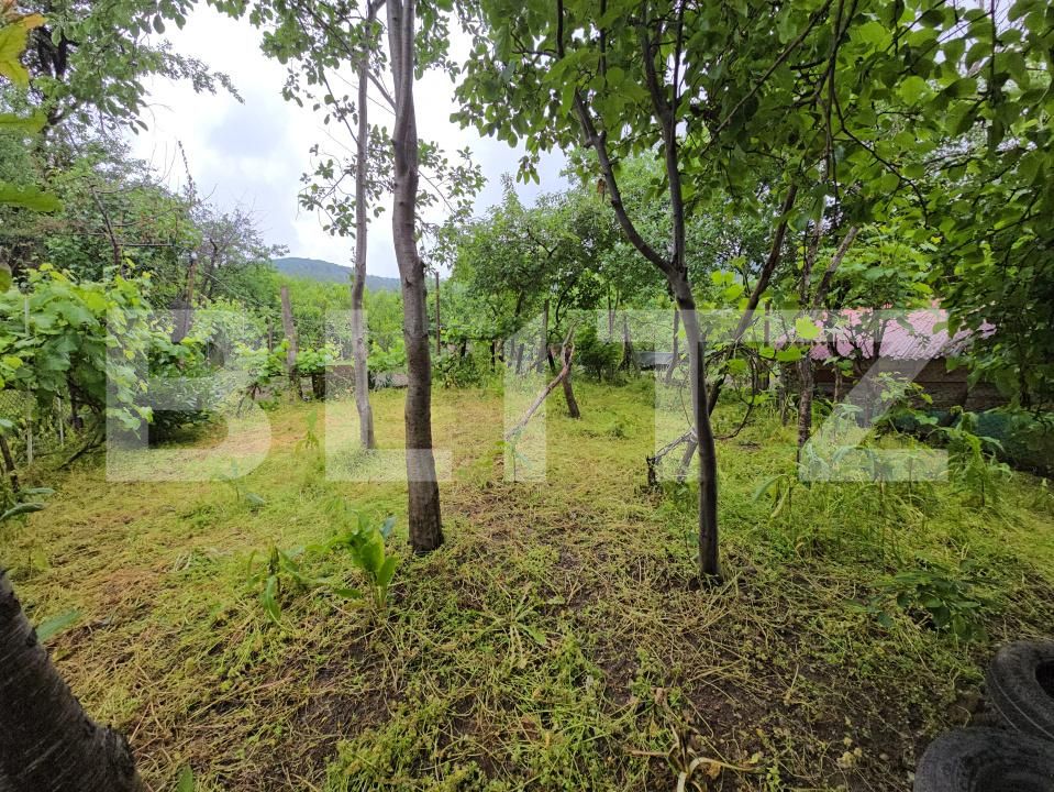 Casa de vânzare 3 camere Cugir - 170125CV | BLITZ Alba Iulia | Poza9