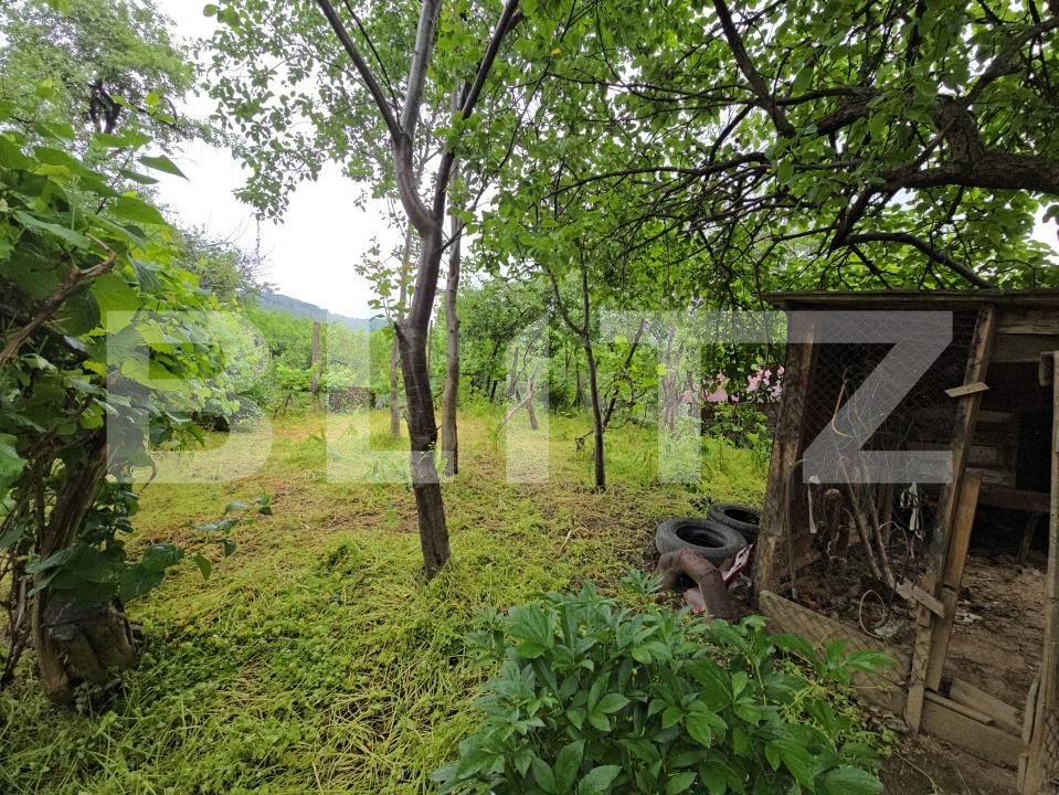 Casa de vânzare 3 camere Cugir - 170125CV | BLITZ Alba Iulia | Poza13