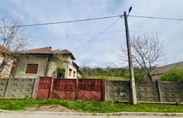 Casă de Vânzare, 4139 mp, Hăpria, Ciugud – Ideală ca Locuință sau Proiect Rural