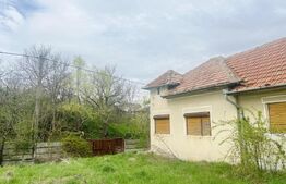 Casă de Vânzare, 4139 mp, Hăpria, Ciugud – Ideală ca Locuință sau Proiect Rural