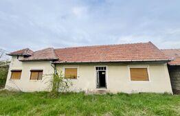 Casă de Vânzare, 4139 mp, Hăpria, Ciugud – Ideală ca Locuință sau Proiect Rural