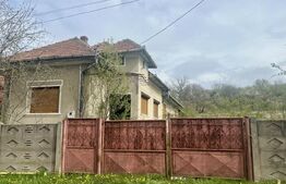 Casă de Vânzare, 4139 mp, Hăpria, Ciugud – Ideală ca Locuință sau Proiect Rural