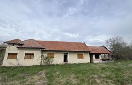 Casă de Vânzare, 4139 mp, Hăpria, Ciugud – Ideală ca Locuință sau Proiect Rural