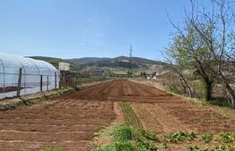 Casa si teren de vanzare,500 mp, zona Micesti 