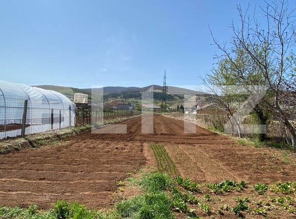 Casa de vânzare 4 camere Micești - 170245CV | BLITZ Alba Iulia | Poza2