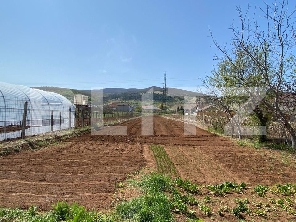 Casa de vânzare 4 camere Micești - 170245CV | BLITZ Alba Iulia | Poza2