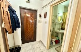 Garsoniera 31 mp,mobilata si utilata,bloc cu lift, zona Cetate