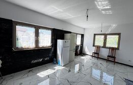 Casă individuală, de vanzare, cu 4 camere,  250 mp utili, zona Micesti