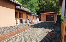 Casă cu 4 camere, 621 teren, comuna Sancel - Blaj