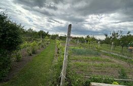 Casa individuala cu 3 camere si teren 1800,Galda de jos