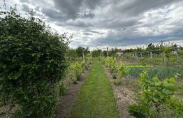 Casa individuala cu 3 camere si teren 1800,Galda de jos