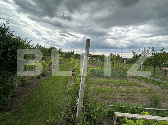 Casa de vânzare 3 camere Galda de Jos - 170681CV | BLITZ Alba Iulia | Poza13