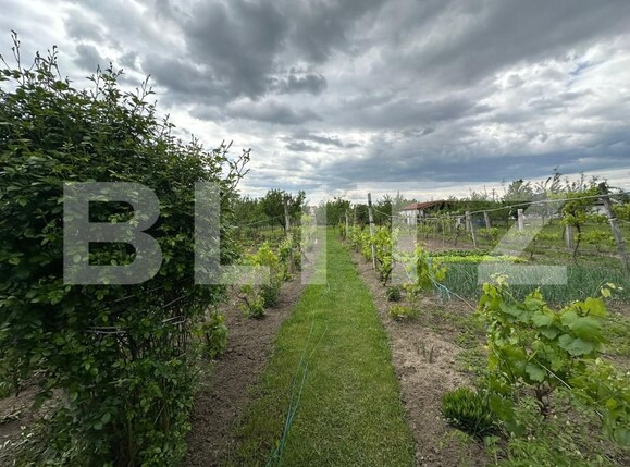 Casa de vânzare 3 camere Galda de Jos - 170681CV | BLITZ Alba Iulia | Poza14