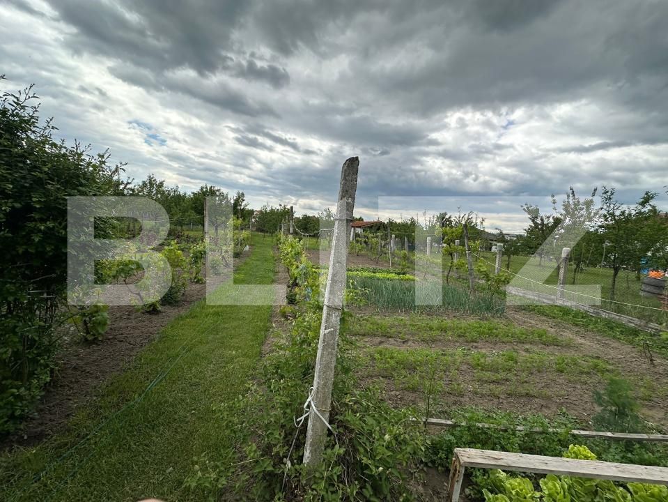 Casa de vânzare 3 camere Galda de Jos - 170681CV | BLITZ Alba Iulia | Poza13