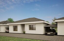  Case cu 3 camere, 100 mp utili, zona Ampoi 3