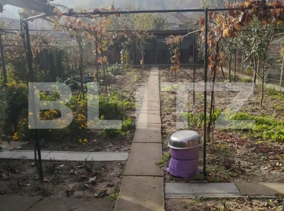 Casa de vânzare 3 camere Blaj - 170856CV | BLITZ Alba Iulia | Poza14