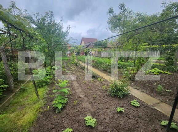 Casa de vânzare 3 camere Blaj - 170856CV | BLITZ Alba Iulia | Poza17