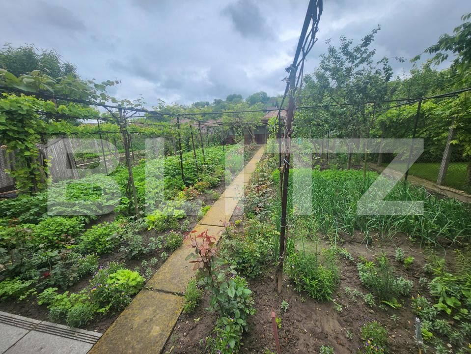 Casa de vânzare 3 camere Blaj - 170856CV | BLITZ Alba Iulia | Poza18