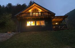 Casa de vacanta cu 4 camere,90 mp utili,800 mp teren,Transalpina