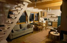 Casa de vacanta cu 4 camere,90 mp utili,800 mp teren,Transalpina