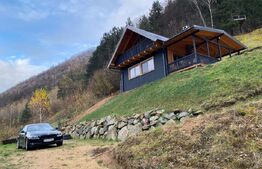 Casa de vacanta cu 4 camere,90 mp utili,800 mp teren,Transalpina