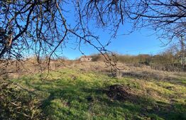 Casa veche cu 4 camere,  teren 1800 mp, Henig