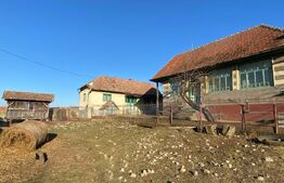 Casa veche cu 4 camere,  teren 1800 mp, Henig