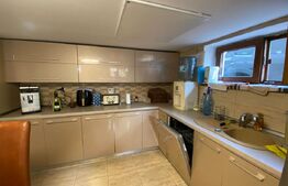 Casă de vânzare cu 3 camere, 550 mp, zona Marasesti 