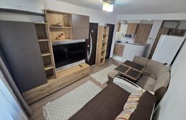 Apartament de inchiriat, cu 2 camere, 45 mp, zona Cetate