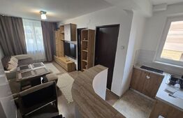 Apartament de inchiriat, cu 2 camere, 45 mp, zona Cetate
