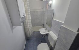 Apartament de inchiriat, cu 2 camere, 45 mp, zona Cetate