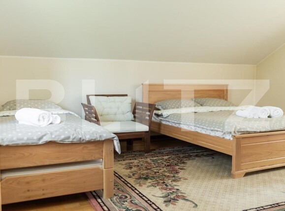 Casa de vânzare 6 camere Sud - 171209CV | BLITZ Alba Iulia | Poza19