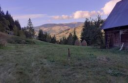 Casă la munte, cu teren 13383 mp, zona Horea - Apuseni