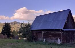 Casa de vânzare 2 camere Cetate - 145433CV | BLITZ Alba Iulia | Poza4