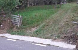 Casă la munte, cu teren 13383 mp, zona Horea - Apuseni