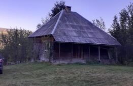 Casă la munte, cu teren 13383 mp, zona Horea - Apuseni
