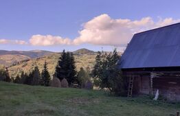 Casă la munte, cu teren 13383 mp, zona Horea - Apuseni