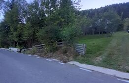 Casă la munte, cu teren 13383 mp, zona Horea - Apuseni