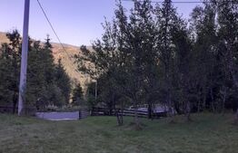 Casă la munte, cu teren 13383 mp, zona Horea - Apuseni