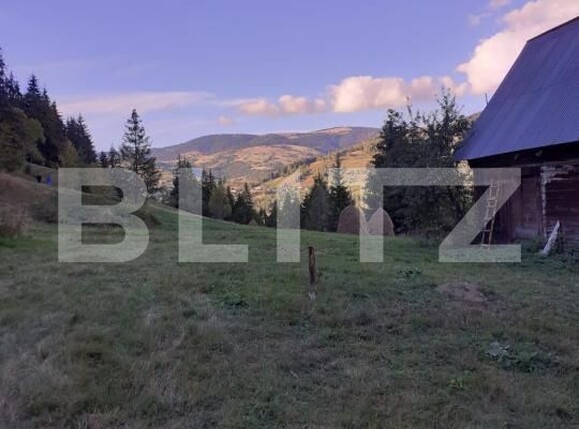 Casa de vânzare 2 camere Horea - 171322CV | BLITZ Alba Iulia | Poza3