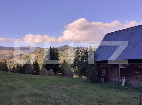 Casa de vânzare 2 camere Horea - 171322CV | BLITZ Alba Iulia | Poza4