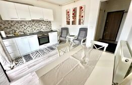  Garsoniera de inchiriat, 32 mp, etaj 1, bloc nou, zona Cetate