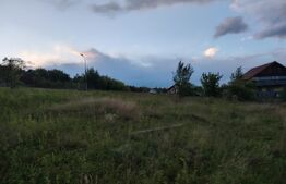 Teren intravilan, 972 mp, zona Micesti