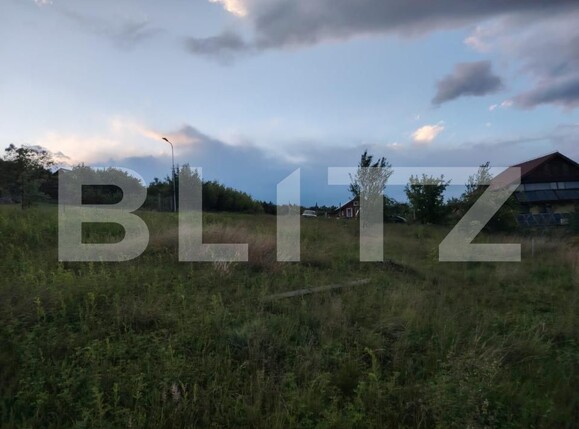 Teren de vânzare Micești - 171439TV | BLITZ Alba Iulia | Poza3