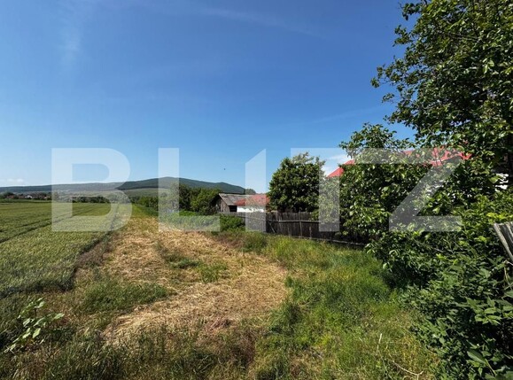 Teren de vânzare Sard - 171531TV | BLITZ Alba Iulia | Poza2