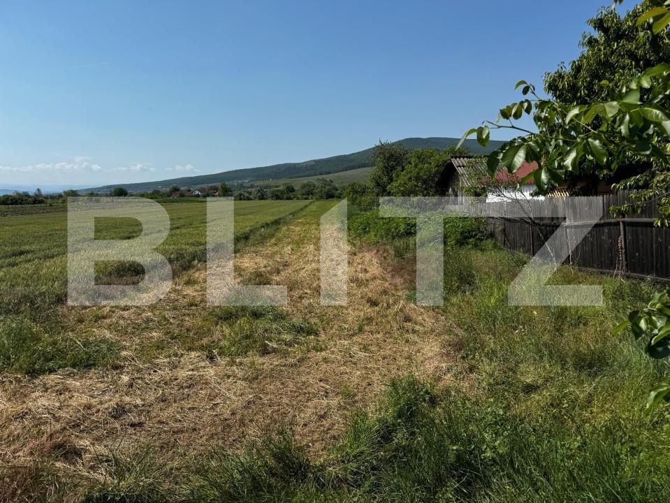 Teren de vânzare Sard - 171531TV | BLITZ Alba Iulia | Poza1