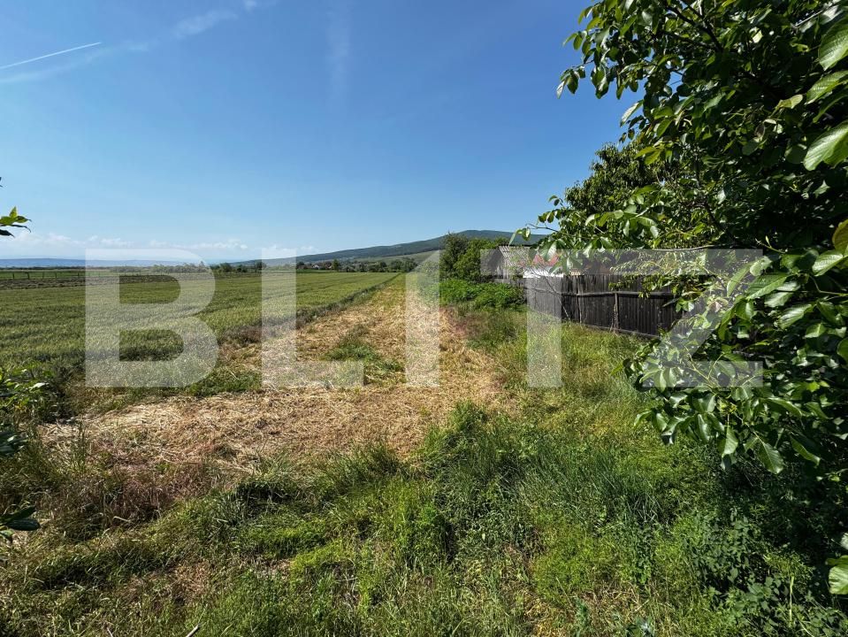 Teren de vânzare Sard - 171531TV | BLITZ Alba Iulia | Poza3