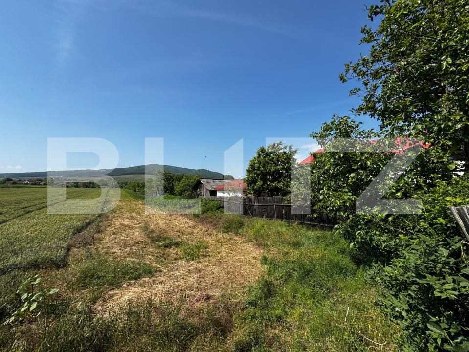 Teren de vânzare Sard - 171531TV | BLITZ Alba Iulia | Poza2